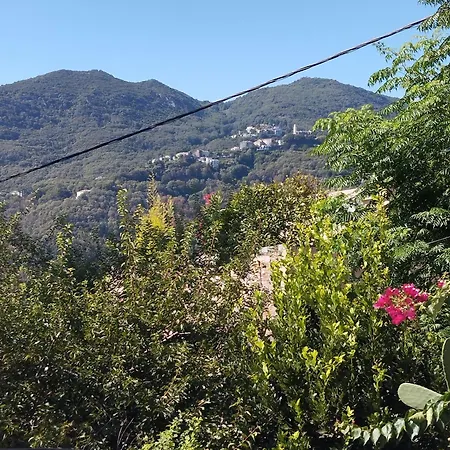 D'hote Partine Cap Corse Frühstückspension Santa-Maria-di-Lota
