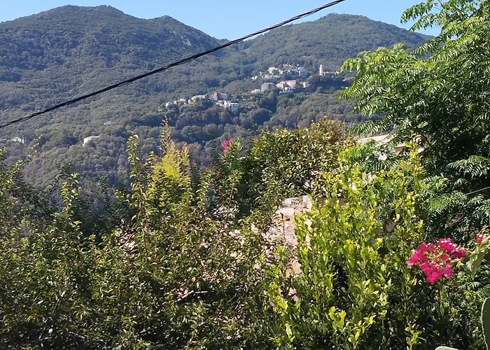 D'hote Partine Cap Corse Frühstückspension Santa-Maria-di-Lota